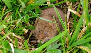 Screenshot_20251226-174041.Google~2