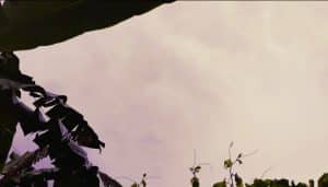 Screenshot_20251226-174906.Foto~2