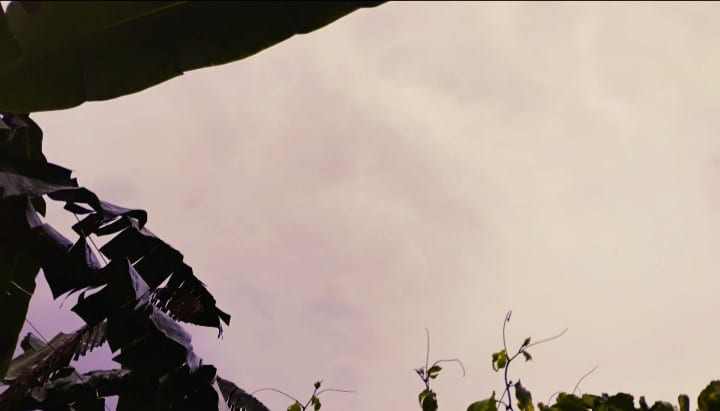 Screenshot_20251226-174906.Foto~2