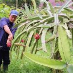 Screenshot_20260102-131446.Chrome~2