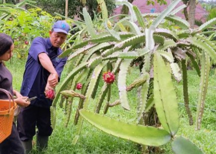 Screenshot_20260102-131446.Chrome~2