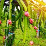 Screenshot_20260102-135104.ChatGPT~2