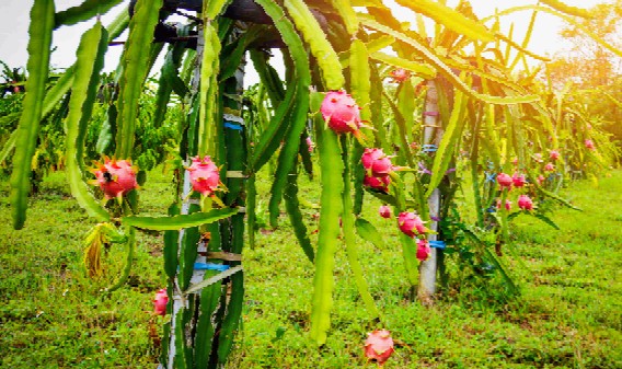 Screenshot_20260102-135104.ChatGPT~2