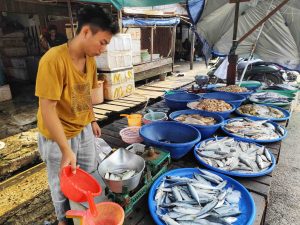 1726813074804_copy_3097x2323_compressed (1)