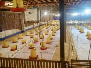 2b87d56c-c73e-4f9b-948b-09c5e273702b