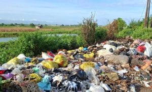 WhatsApp-Image-2026-02-25-at-15.09.54-780x470