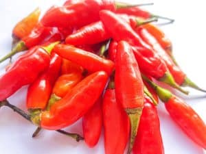 Cabe rawit Merah. Red Cayenne pepper isolated on white background