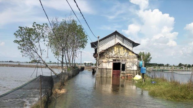 banjir-pati-1779521930422_169