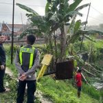 mobil-avanza-jatuh-ke-sawah-usai-tertabrak-ka-argo-bromo-anggrek-di-perlintasan-ka-swadaya-jalan-umum-tuko-sidorejo-dusun-sugi-1777622109873_169